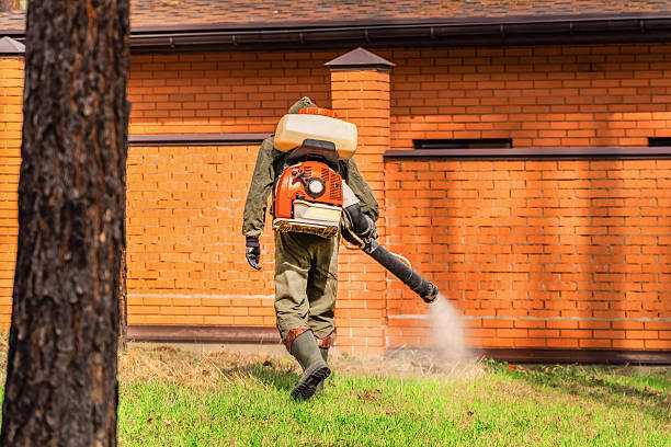 Trusted Bed Bug Control service in Vinita Park, MO - Nex Pest Control